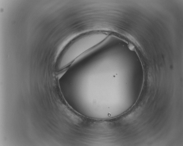 X0000063520926200601271832