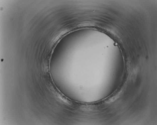 X0000063520929200601271832