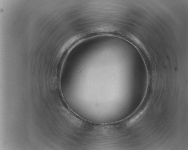 X0000063520930200601271832