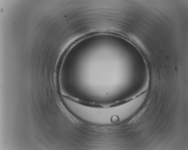 X0000063520932200601271832