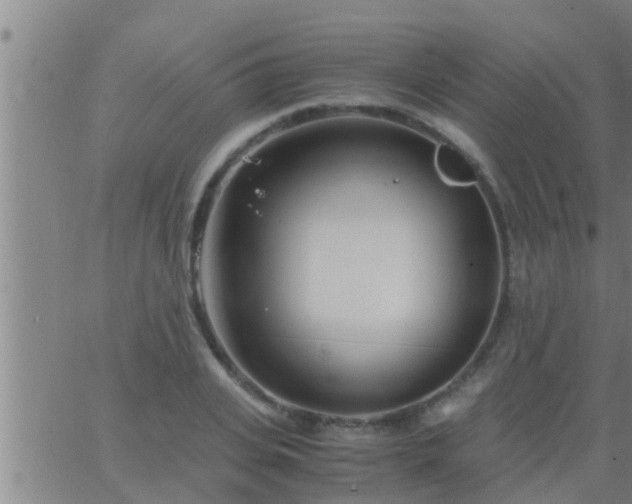 X0000063520935200601271832