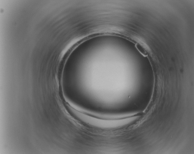 X0000063520936200601271832