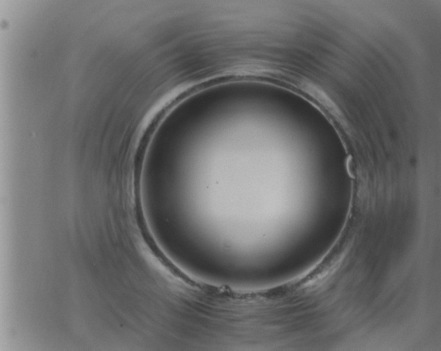 X0000063520939200601271832