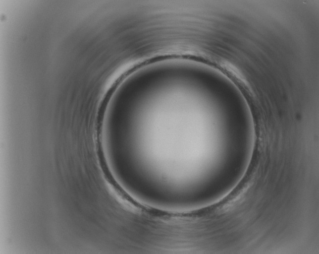 X0000063520942200601271832