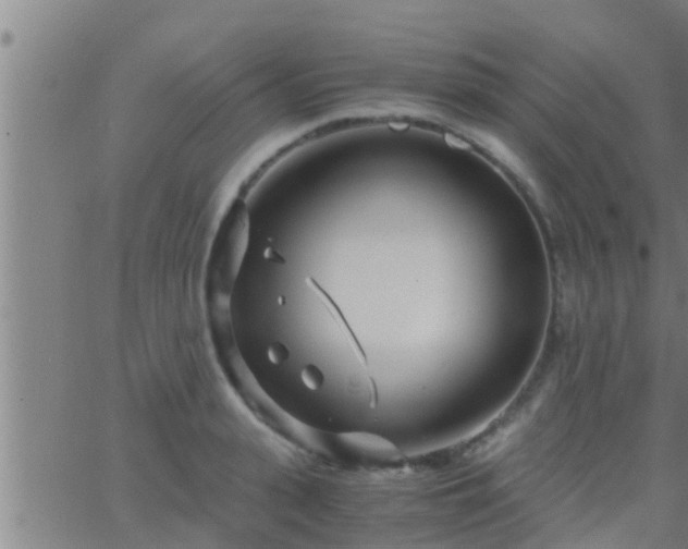 X0000063520943200601271832