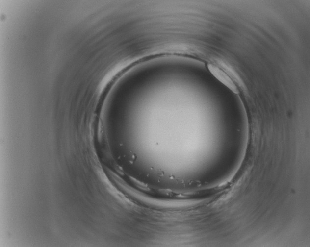 X0000063520944200601271832