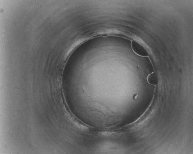 X0000063520945200601271832