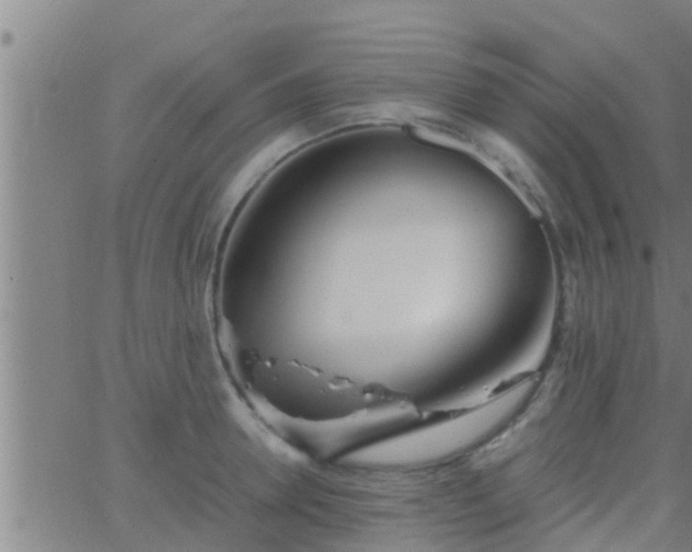 X0000063520946200601271832