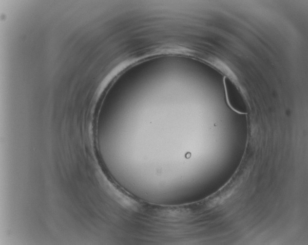 X0000063520947200601271832