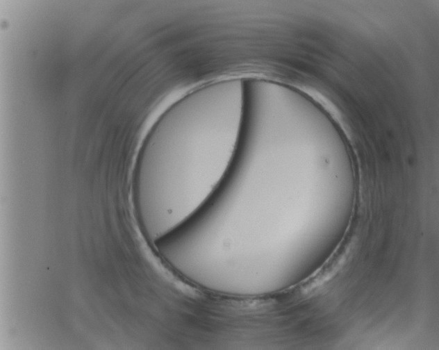 X0000063520949200601271832