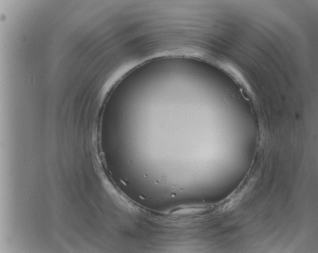 X0000063520952200601271832