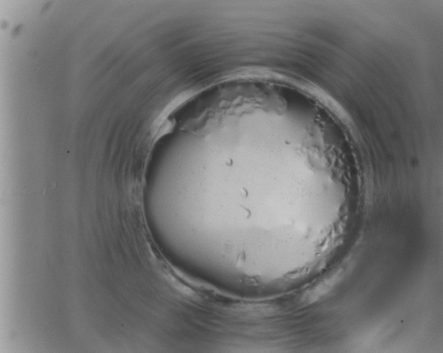 X0000063520953200601271832