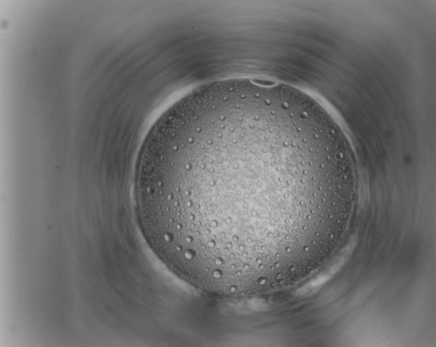 X0000063520957200601271832