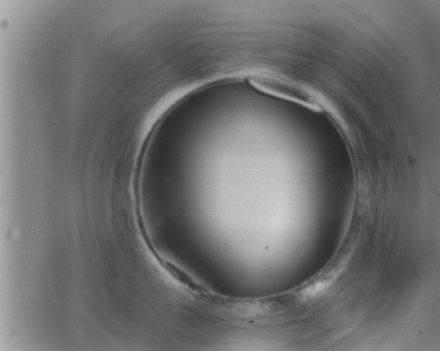 X0000063520959200601271832