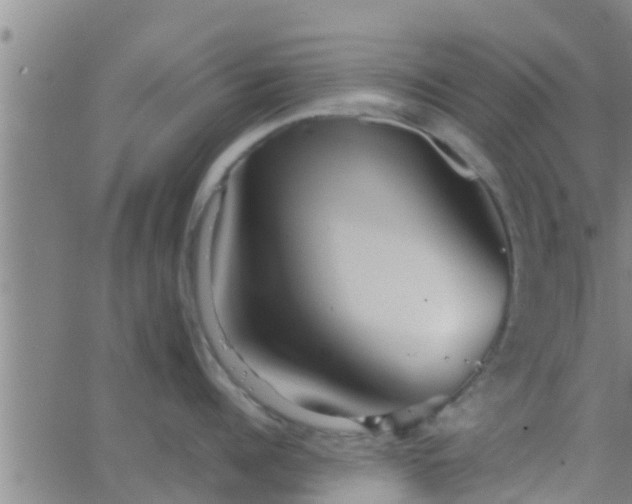 X0000063520960200601271832