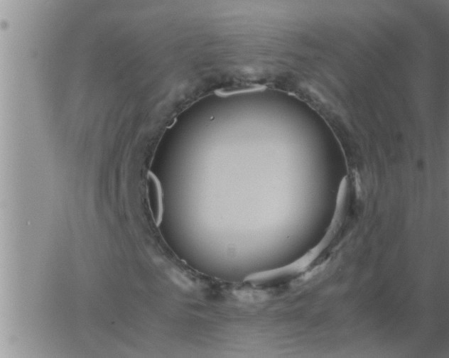 X0000063520961200601271832