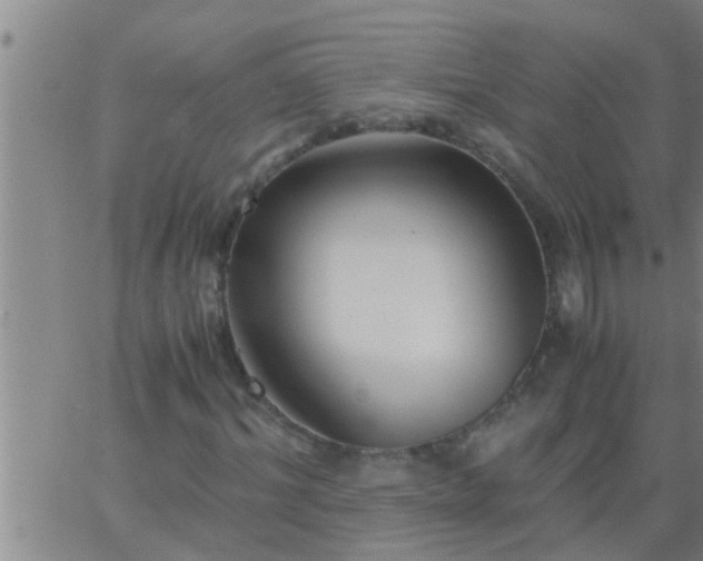 X0000063520964200601271832