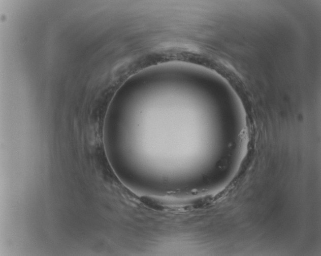 X0000063520965200601271832