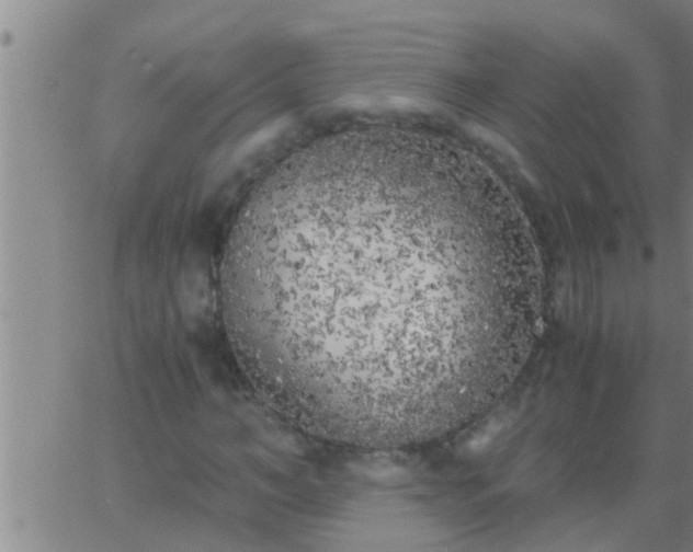 X0000063520966200601271832