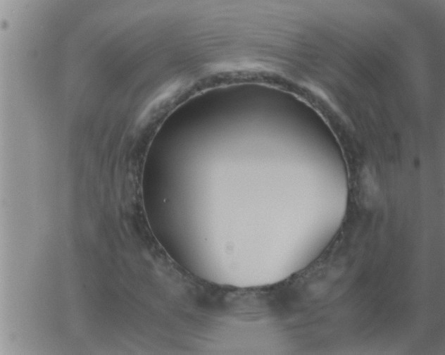 X0000063520967200601271832