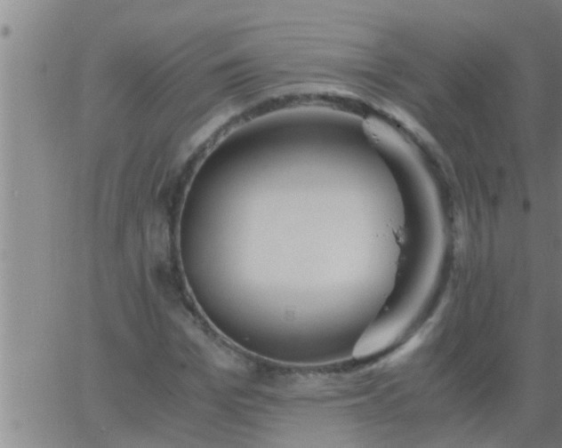 X0000063520969200601271832