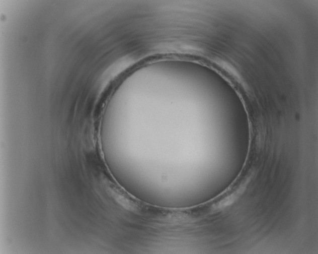 X0000063520974200601271831