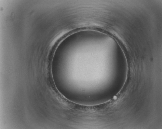 X0000063520975200601271831