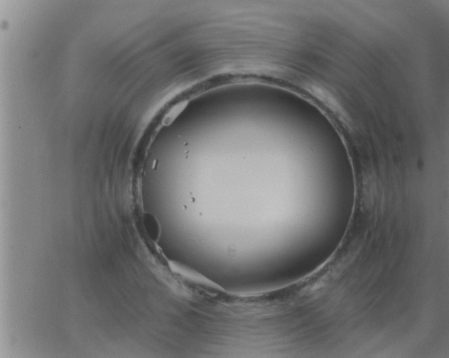 X0000063520976200601271831