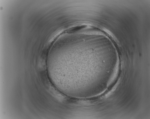 X0000063520977200601271831