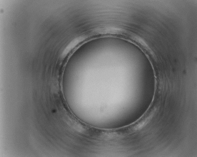 X0000063520978200601271831