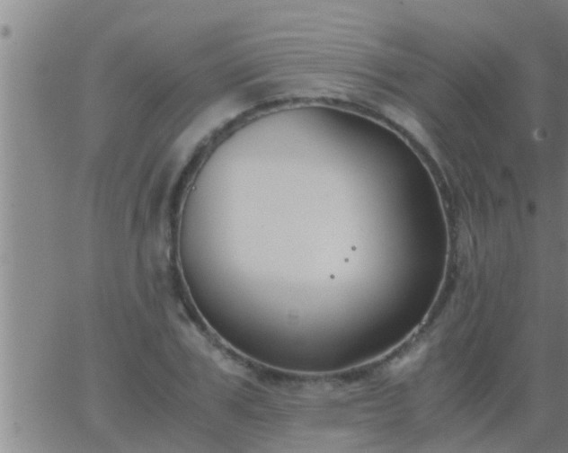 X0000063520979200601271831