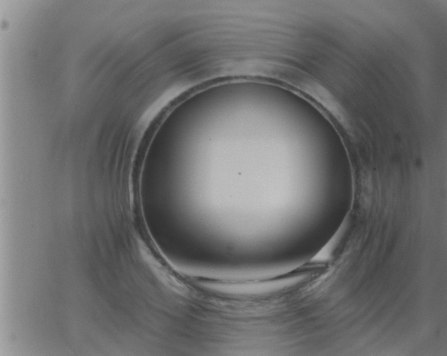 X0000063520980200601271831