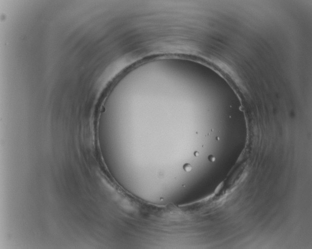 X0000063520982200601271831