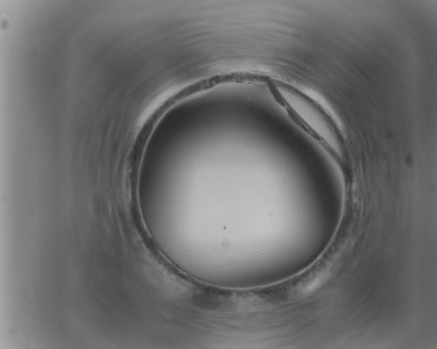 X0000063520983200601271831