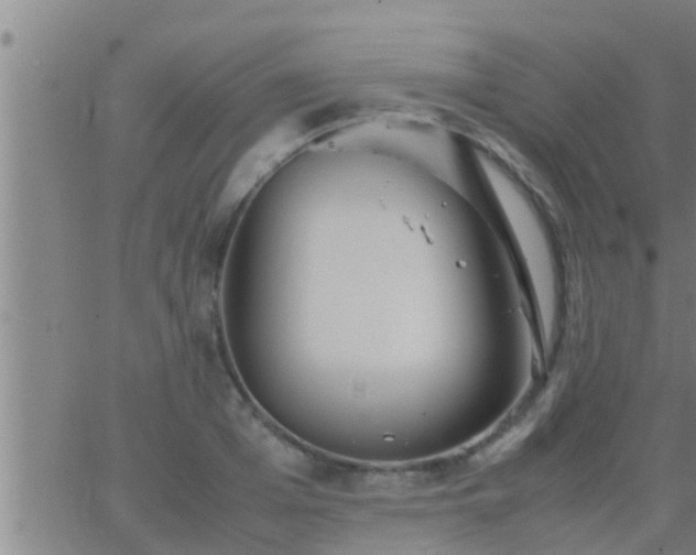 X0000063520985200601271831