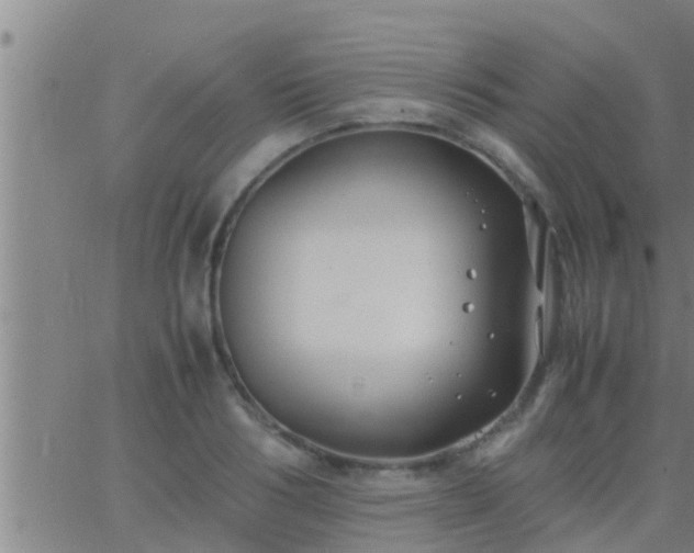 X0000063520986200601271831