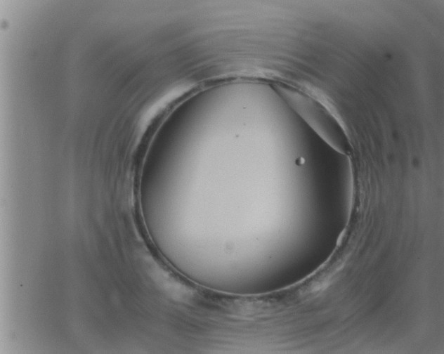 X0000063520987200601271831