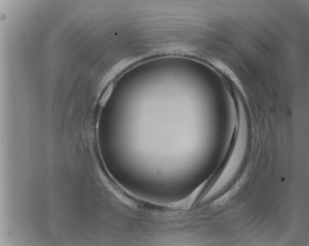 X0000063520989200601271831