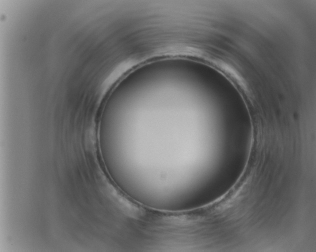 X0000063520990200601271831