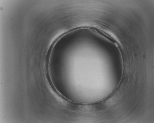 X0000063520991200601271831