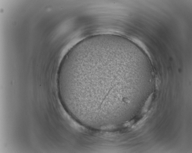 X0000063520995200601271831