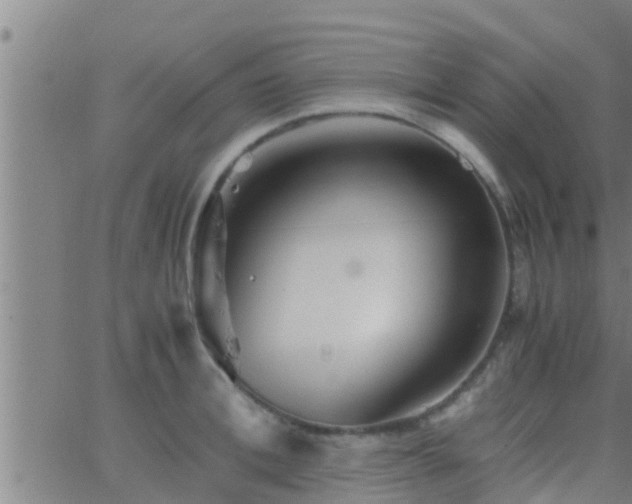 X0000063520996200601271831