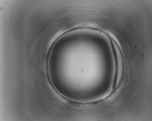 X0000063520997200601271831