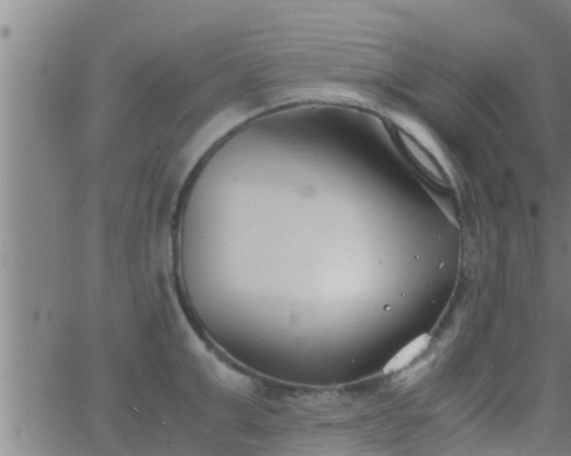 X0000063520999200601271831