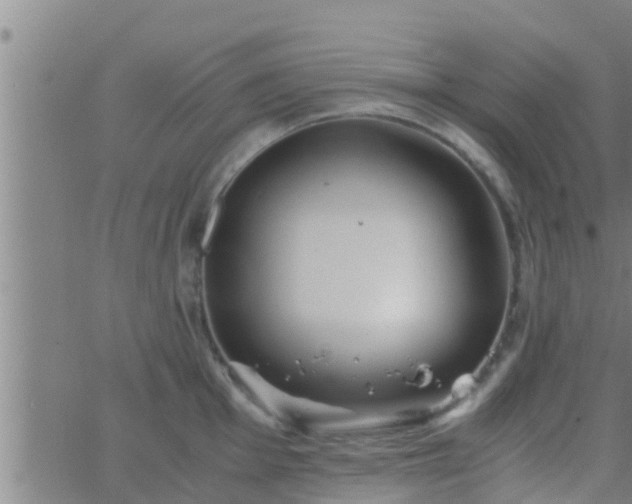 X0000063521001200601271831