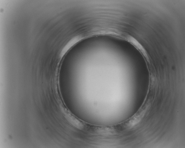 X0000063521002200601271831