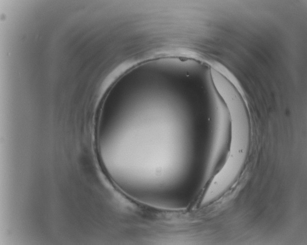 X0000063521005200601271831