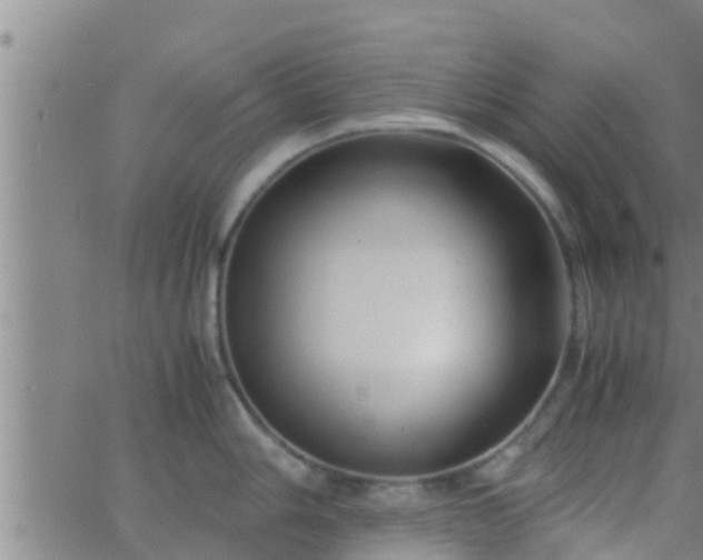 X0000063521006200601271831