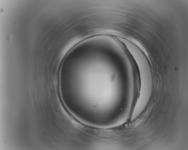 X0000063521007200601271831