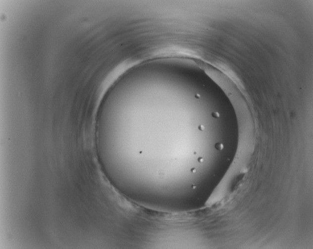 X0000063521008200601271831